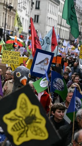 "Je dirai à mon fils que j'ai fait ce que j'ai pu": comment les militants du climat gardent-ils l'espoir malgré "plus de défaites que de victoires"?