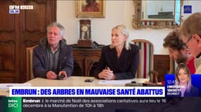 Embrun: dix-huit arbres vont être abattus en raison de leur mauvaise santé