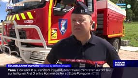Dans les Vosges, les pompiers prêts à affronter de possibles feux de forêt