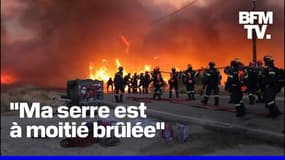 Incendies en Grèce: 16 villages et un camp de réfugiés évacués