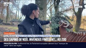 Focus Régions - 16/01