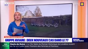 Île-de-France Focus: deux nouveaux cas de grippe aviaire détectés en Seine-et-Marne