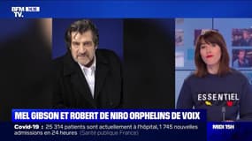 Mel Gibson et Robert De Niro orphelins de voix - 18/03