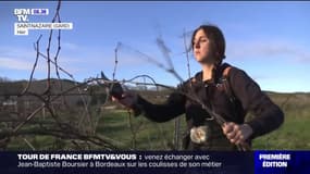 Pauline Pradier, une vigneronne nommée Miss agricole 2023