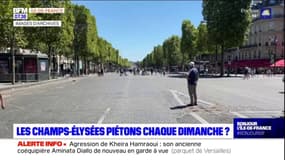 Paris: vers une piétonnisation de la partie basse des Champs-Elysées tous les dimanches? 