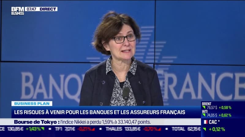 Les risques à venir pour les banques et les assureurs français
