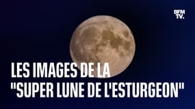 Les images de la dernière "super Lune" de l'année