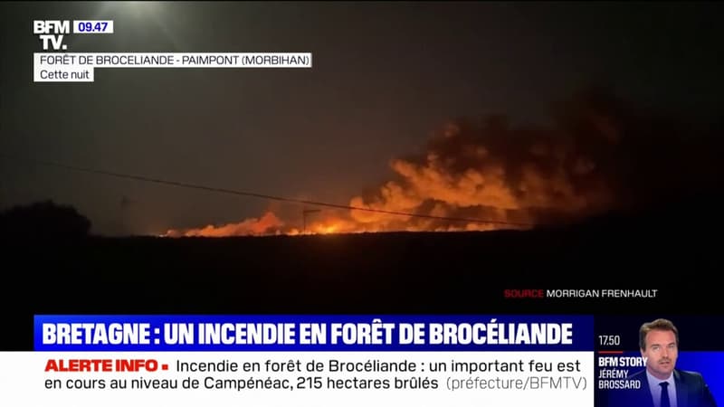Incendie dans le Morbihan: les images du feu dans la forêt de Brocéliande