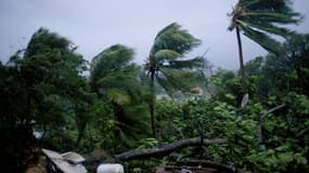 Du vent et de la pluie en Guadeloupe - Image d'illustration 