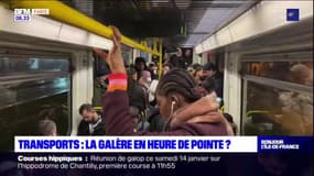 Transports en Ile-de-France: la galère en heure de pointe?