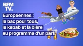 Bac pour tous, kebab et bière à 3 euros… Le programme insolite d'un parti allemand aux élections européennes