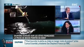 "Il faut interdire les méthodes de pêche, dont on sait qu'elles sont destructrices"