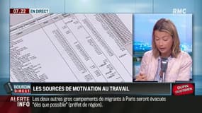 Dupin quotidien: les Français principalement motivés par l'argent au travail