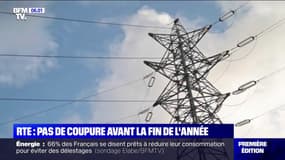 RTE écarte le risque de coupures avant la fin de l'année