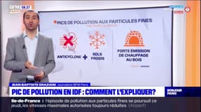 Pic de pollution en Ile-de-France: comment l'expliquer?