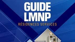 Guide LMNP