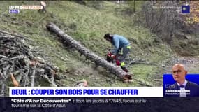 Beuil: la municipalité propose aux habitants de couper leur propre bois