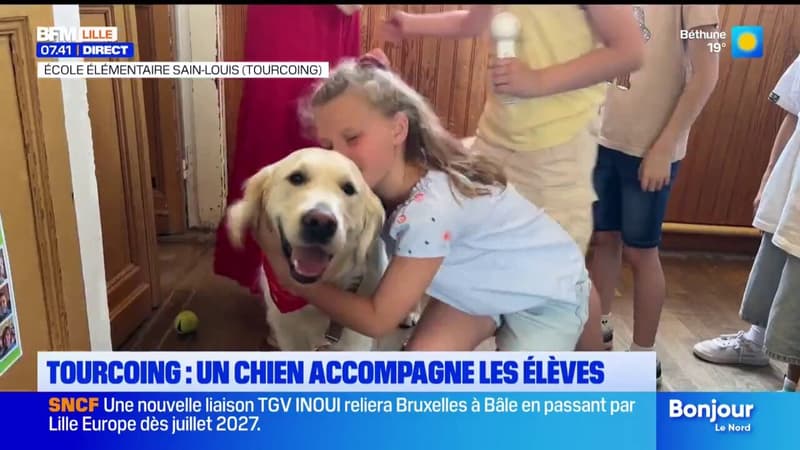 A Tourcoing, les élèves d'une classe de CE2 accompagnés par... un chien !