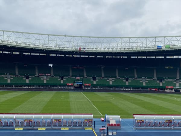 The lawn of the Ernst Happel Stadium in Austria, June 9, 2022