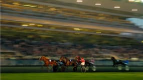 Trot à Vincennes