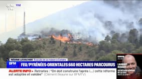 "We couldn't see anything in the village": the story of a resident of Cerbère, evacuated from her house due to the ongoing fire in the Pyrénées-Orientales
