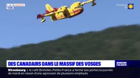 Vosges: des Canadair au lac de Gérardmer?