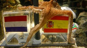 La pieuvre allemande a encore une fois préféré le drapeau espagnol...