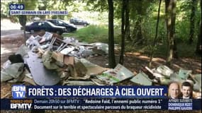 Comment les forêts sont en train de devenir des décharges à ciel ouvert