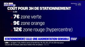 Lille: le stationnement augmente en ville 