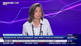 Idée de placements: Episode de gel sur les vignobles, quel impact pour les vignerons ? - 29/04