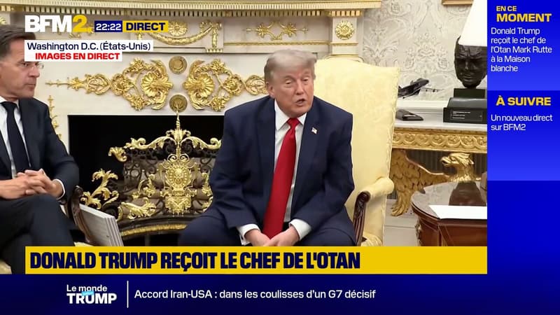 "On nous a laissés tomber": devant le chef de l'Otan, Donald Trump se dit "déçu" par les pays alliés