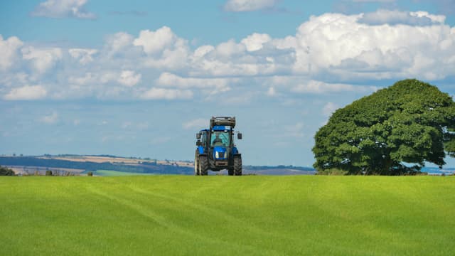 A 5.910 euros en moyenne l'hectare, le prix des terres agricoles a augmenté de 60% en France depuis 1997 et ce malgré la baisse de revenu des agriculteurs.
