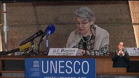 Consternation à l'Unesco après la destruction d'œuvres au musée de Mossoul