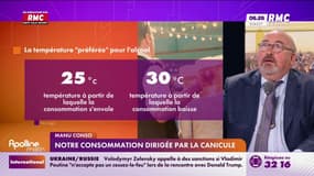 Comment la canicule impacte notre consommation