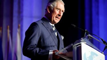 Le Prince Charles s'adresse à des élus américains à Washington, le 19 mars 2015