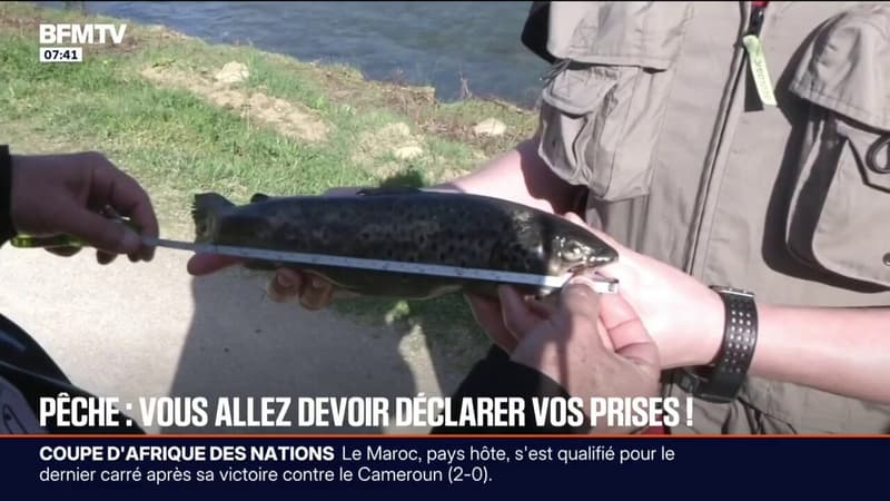 Une nouvelle règlementation européenne oblige les pêcheurs à déclarer leurs prises