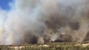 Vitrolles sous la fumée d'une incendie de broussailles - Témoins BFMTV