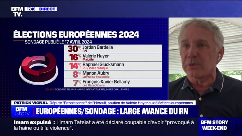 Patrick Vignal (député Renaissance de l'Hérault) sur les élections européennes: 