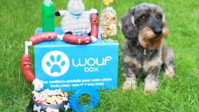 La Woufbox, une des innovations destinées à l'alimentation du meilleur ami de l'homme.