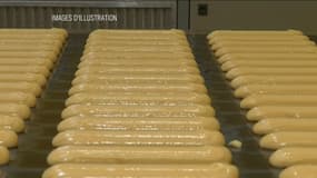 "On ne tombe pas raide mort si on mange un œuf contaminé par le fipronil, ce sont des effets plus subtils"