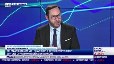 Vincent Cudkowicz (Bienprévoir.fr) : SCI en Assurance vie, bilan 2021 & perspectives 2022 sur une offre immobilière dynamique - 24/01