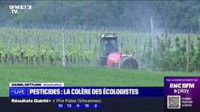 Pesticides: France Nature Environnement et Générations Futures ont saisi la justice pour dénoncer la souplesse des contrôles des arboriculteurs
