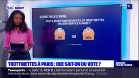 Paris: que sait-on du vote citoyen sur les trottinettes?