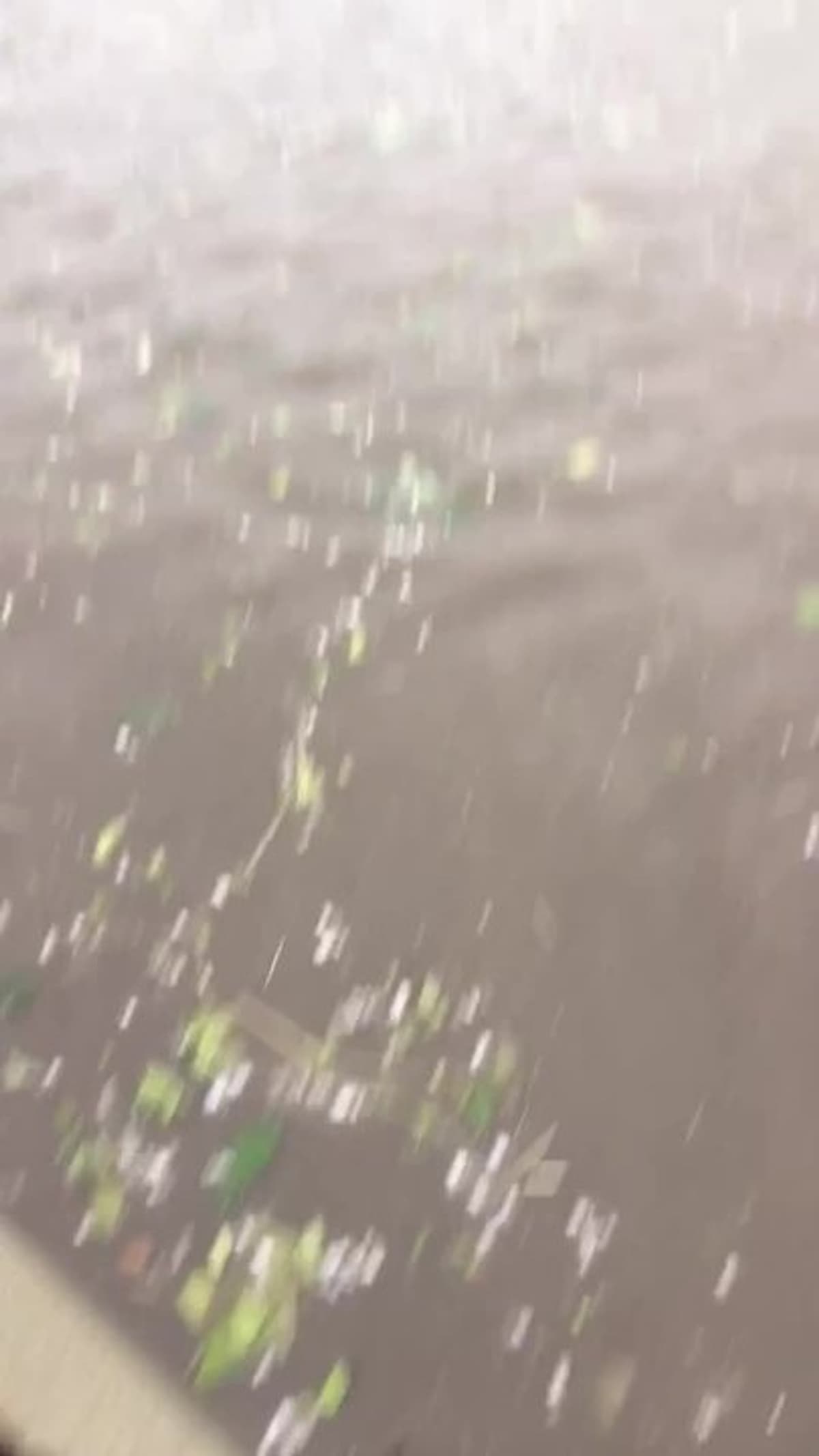 placeholder video