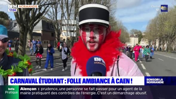Caen: un florilège de costumes au "meilleur carnaval du monde"