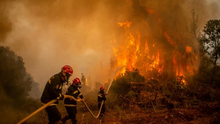 Des pompiers serbes luttent contre un feu de forêt sur l'île d'Eubée, le 9 août 2021 en Grèce