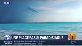 Une plage pas si paradisiaque