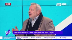 Grand froid en France: "on est devenus un peu chochottes"