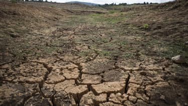 Face à la sécheresse, des mesures de restriction d'usage de l'eau ont été prises dans de très nombreux départements.