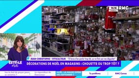 Décorations de Noël : "C'est en train de me casser la magie de Noël", regrette Jean-Christophe